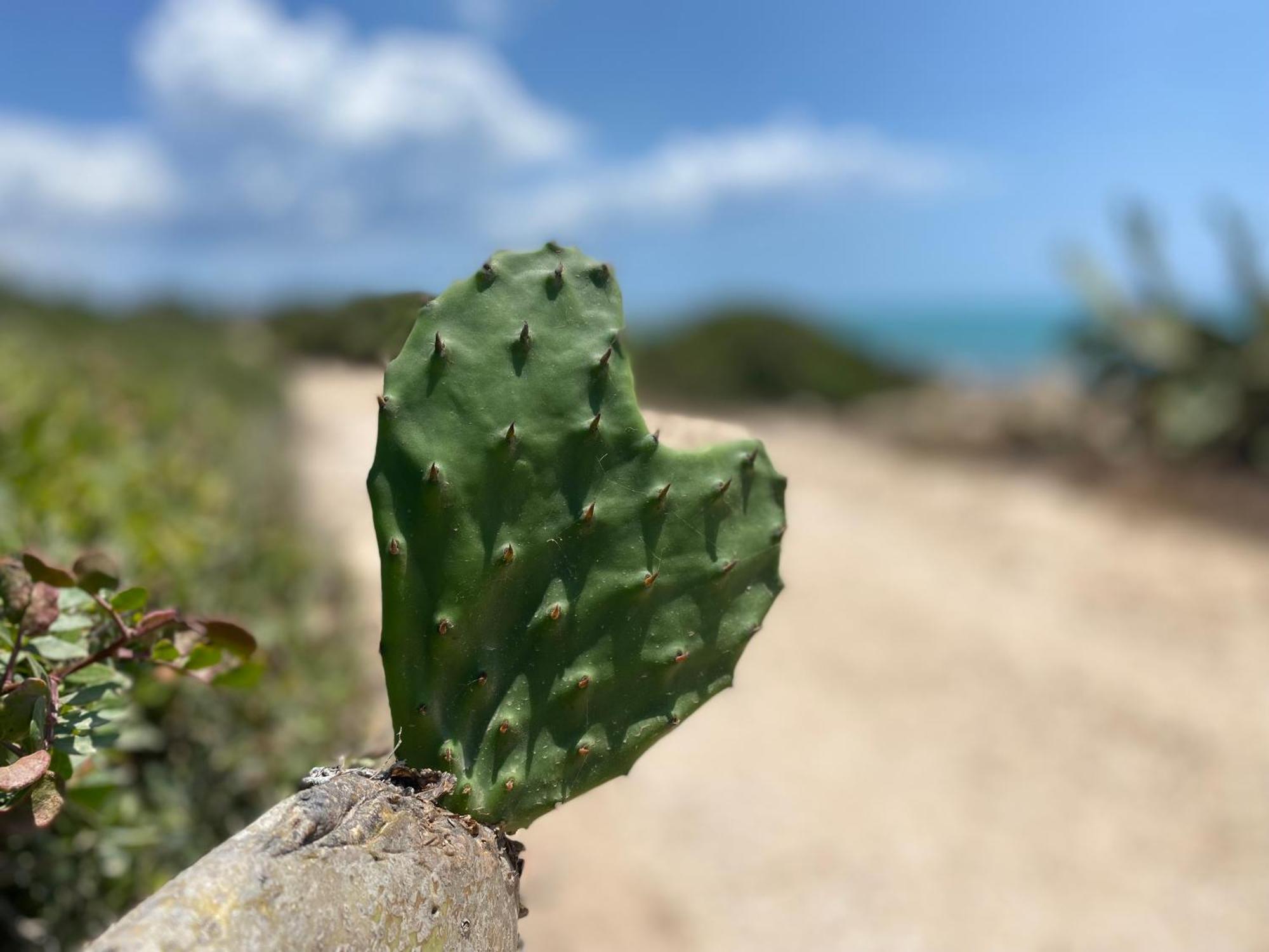 Ificumori, Campagna Ammare Vila Marina di Modica Exterior foto