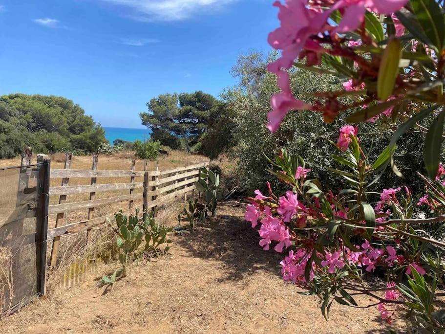 Ificumori, Campagna Ammare Vila Marina di Modica Exterior foto