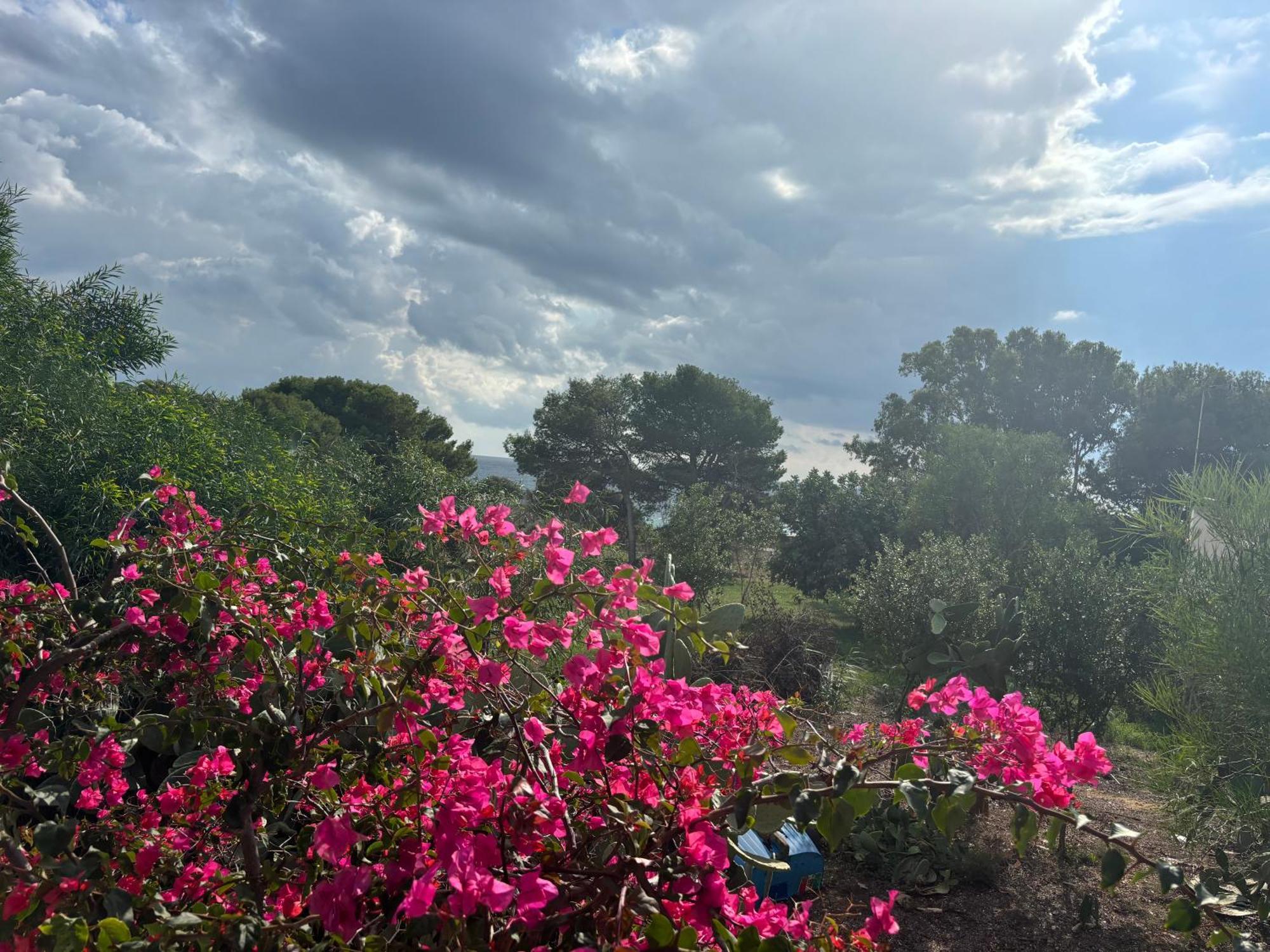 Ificumori, Campagna Ammare Vila Marina di Modica Exterior foto